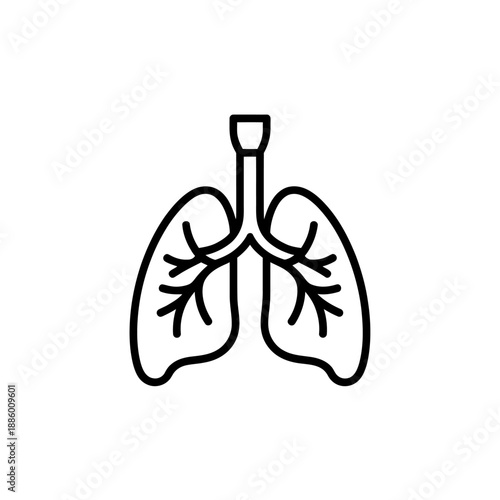 Simplified human lungs illustration isolated on transparent background