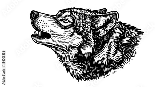 Detailed engraving of a howling wolf head with intense gaze and fur texture.