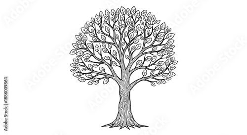 Detailed Hand Drawn Illustration of a Lush Green Tree.
