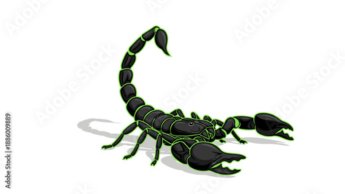 Detailed illustration of a black scorpion with its tail raised ready to strike.