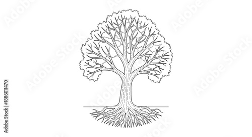 Detailed Line Art Drawing of a Majestic Tree with Intricate Roots.