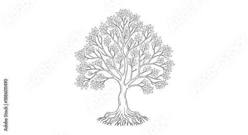 Detailed Line Art Illustration of a Majestic Tree with Intricate Roots.
