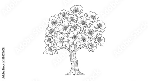 Detailed Outline Drawing of a Blooming Tree.