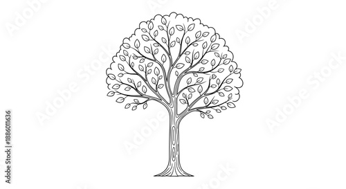 Detailed Outline Drawing of a Mature Deciduous Tree.