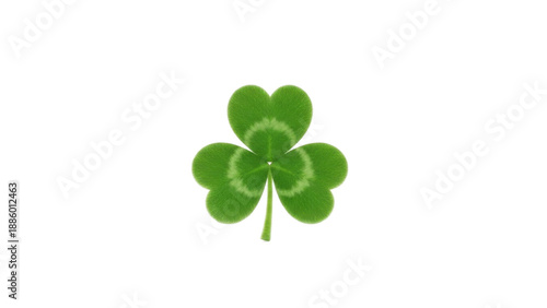 Lucky Three Leaf Clover