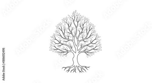 Detailed Outline of a Majestic Oak Tree with Intricate Roots.