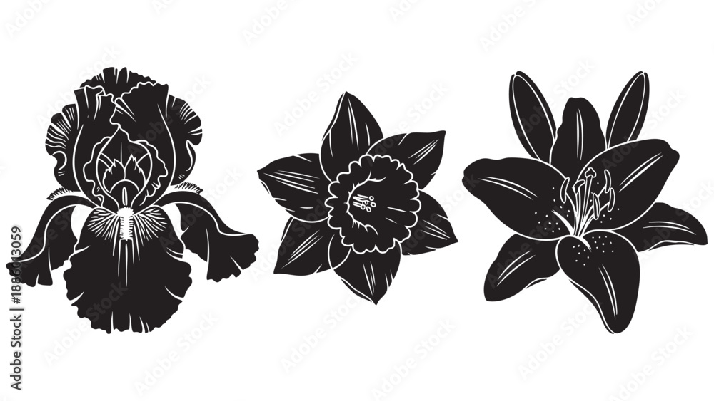 Fototapeta premium Three detailed stylized orchid flowers isolated on transparent background