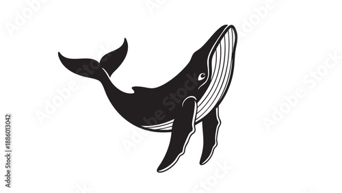 Stylized vector illustration of a jumping killer whale isolated