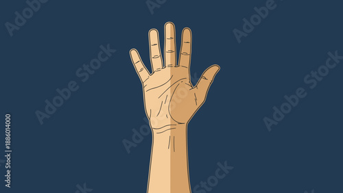 Illustration of a Human Hand with Palm Lines.