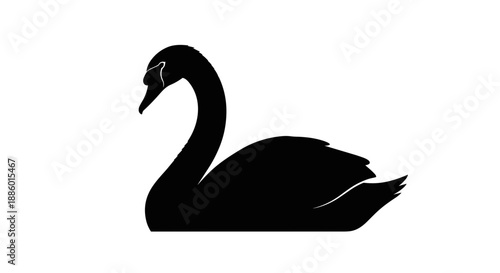 Elegant Black Swan Silhouette on White Background.