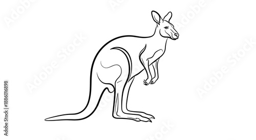 Elegant Line Art Kangaroo Illustration Standing Proudly.