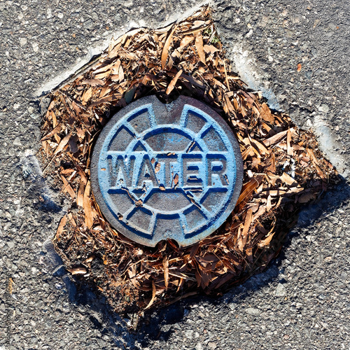 Blue Water Valve Cover in street