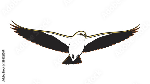 Majestic bird soaring through the sky with outstretched wings freedom.