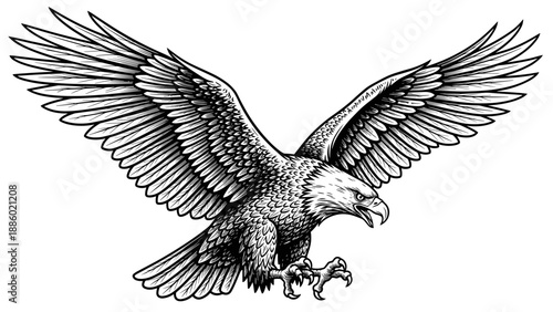Majestic Bald Eagle Soaring with Wings Spread in Detailed Illustration.