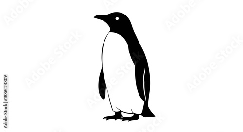 Minimalist Black and White Penguin Illustration Standing Proudly.