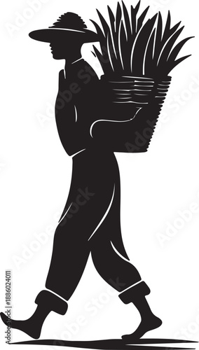 Silhouette of person carrying bundle of plants walking