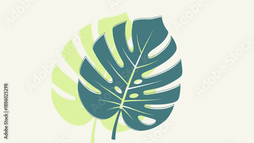 Monstera Deliciosa Leaf A Detailed Study of Tropical Foliage.