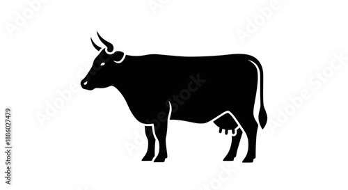 Silhouette of a Black Cow Standing Side View.