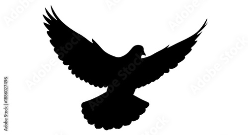Silhouette of a Dove in Flight with Wings Spread Wide.