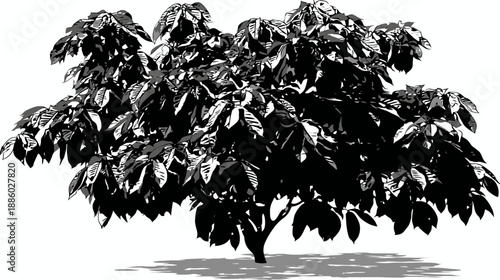 A grayscale, simplified tree illustration with lush foliage, a central trunk, and a soft shadow