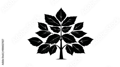 A symmetrical black silhouette of a leafy plant, appearing like a stylized tree