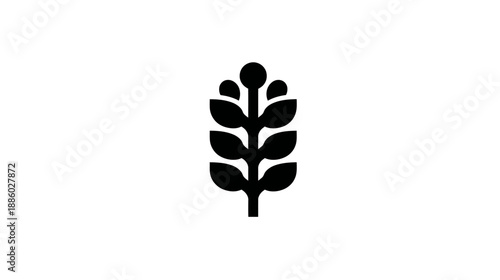 Minimalist black and white illustration of a stylized plant or wheat stalk