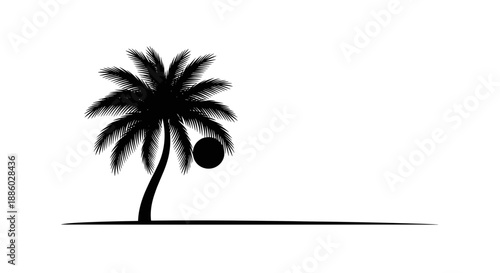 Silhouette of a Palm Tree with a Setting Sun.
