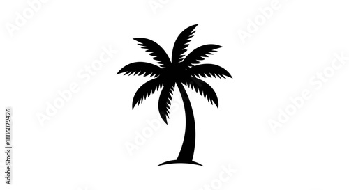 Silhouette of a Tropical Palm Tree on White Background.