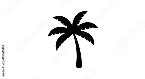 Silhouette of a Tropical Palm Tree Icon.