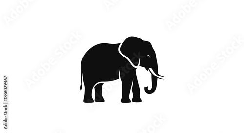 Silhouette of an African Elephant Standing Proudly 3.