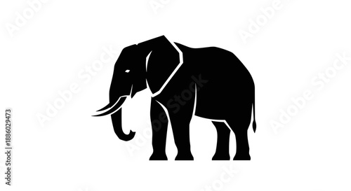 Silhouette of an African Elephant Standing Proudly 2.