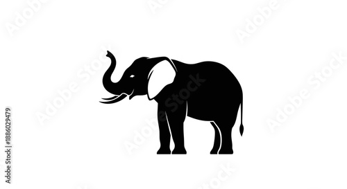 Silhouette of an African Elephant Standing Proudly 1.