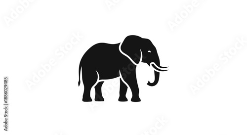 Silhouette of an African Elephant Standing Proudly 6.
