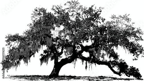 A large, stylized illustration of a tree with heavy foliage and Spanish moss, rendered in black and white