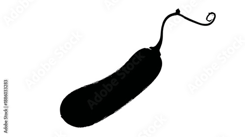 A monochrome silhouette of a elongated fruit with a curved stem and tendril against a white backdrop