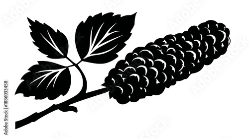 A simple, graphic illustration of a plant with leaves and a detailed, textured, cylindrical fruit