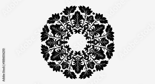 Intricate Black Floral Mandala Ornament on Bright Studio Background