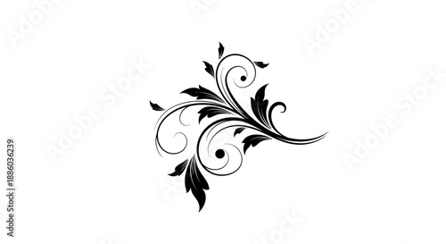 Elegant Single Black Swirling Floral Element Design on Isolated White Background