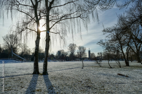 Wintersonne und Schnee in einem Park am Rhein in Köln