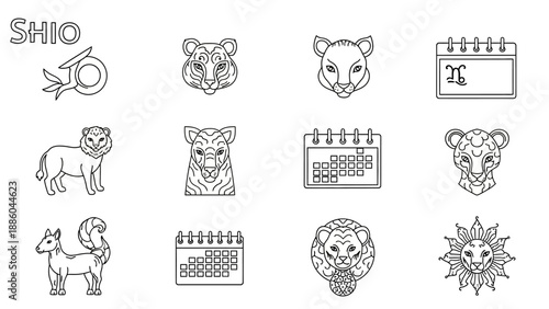 A professional photographer capturing a high-angle shot of a diverse group of creative colleagues collaborating around a wooden desk in a bright modern office