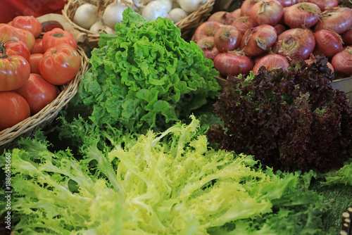 Foto variedad de escarola a la venta en un mercado del país vasco euskadi 4M0A1285-as