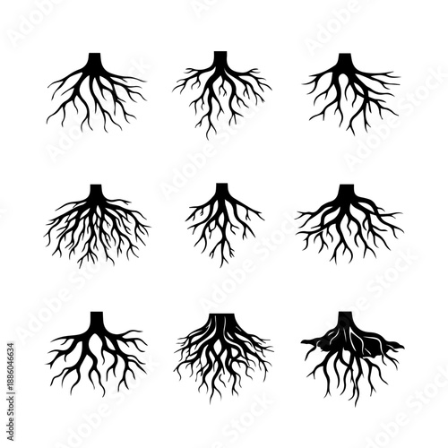 roots vector icon set on a white background
Vector icon set