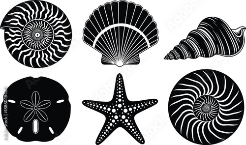 Black and white marine shell vector collection featuring nautilus, scallop, conch, sand dollar, starfish, ocean icons for branding design projects