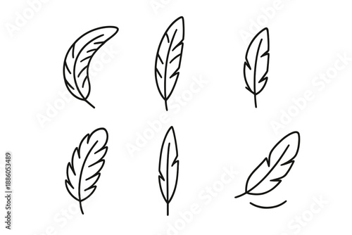Feather Line Art Icons. Line style icons of Feather: curved feather, long plume, short quill, soft vane lines, pointed tip,