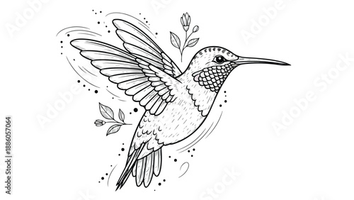 Detailed hummingbird feeding on flowers nature sketch