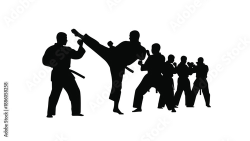 Black silhouette of martial arts karate training