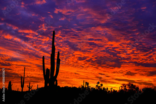 Sunrise - Arizona