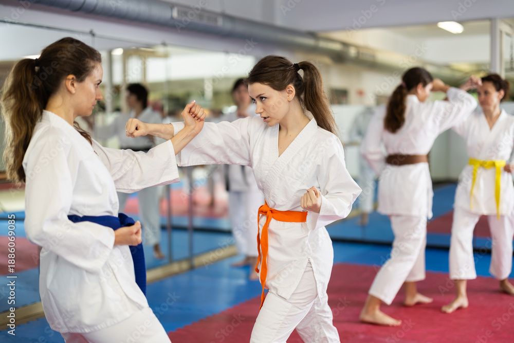 Obraz premium Woman practices punches and blocks on the opponent. European women practice punches together for self-defense