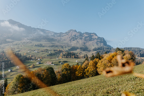 Photos Goldener Herbst in Amden mit leuchtenden Laubbäumen, Schweizer Bauernhöfen und d
