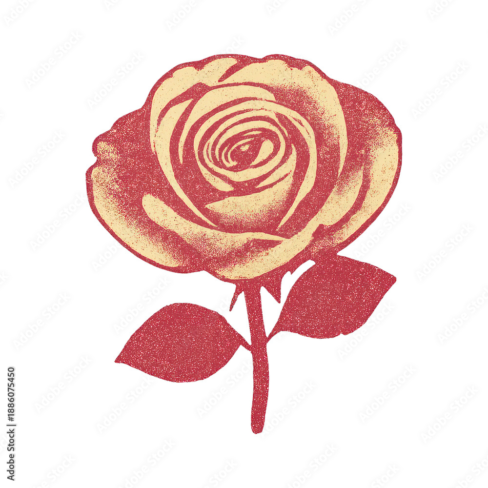 Fototapeta premium PNG Vintage rose illustration print